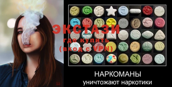 гашик Алексин